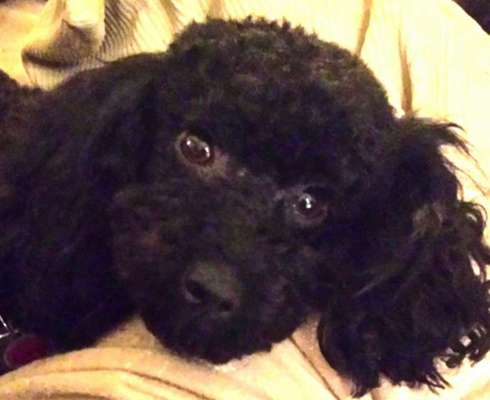 Zeigt eure Portraits-Beitrag-Bild