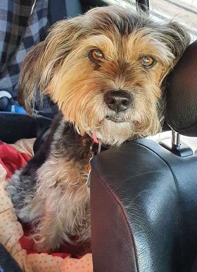 23. Collagen-Challenge: Portraits-Beitrag-Bild