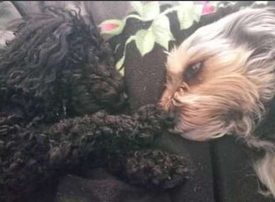 Foto Challenge Nr.: 115-Beitrag-Bild