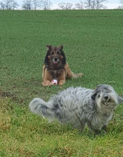 Lustige Grimassen & verrückte Posen-Beitrag-Bild
