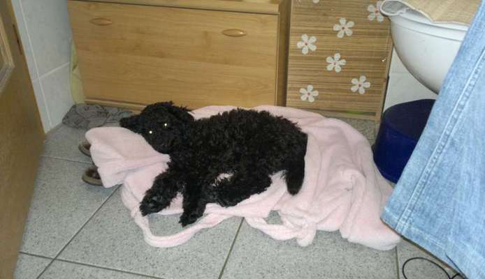 Fotochallenge 128-Beitrag-Bild