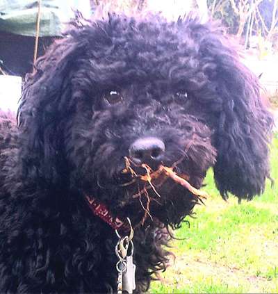 Fotochallenge 129-Beitrag-Bild