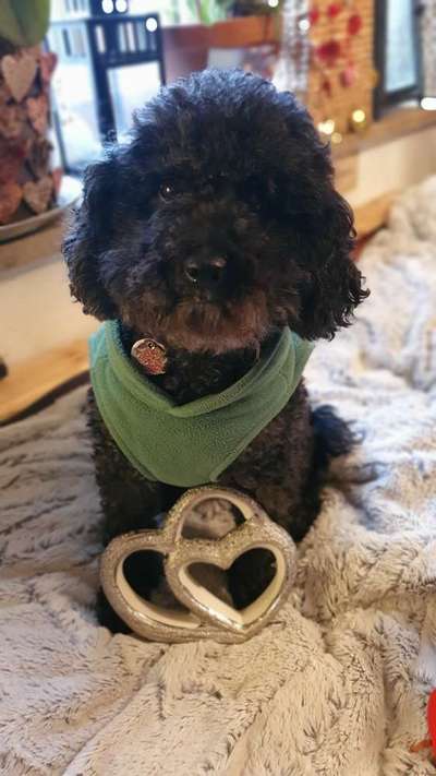 13. Farben-Fotochallenge "Grau"-Beitrag-Bild