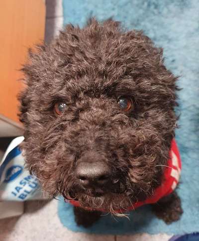 Nahaufnahme-Beitrag-Bild