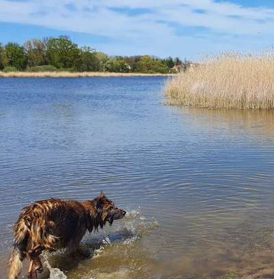 35. Handy Foto Challenge - Das nasse Element-Beitrag-Bild