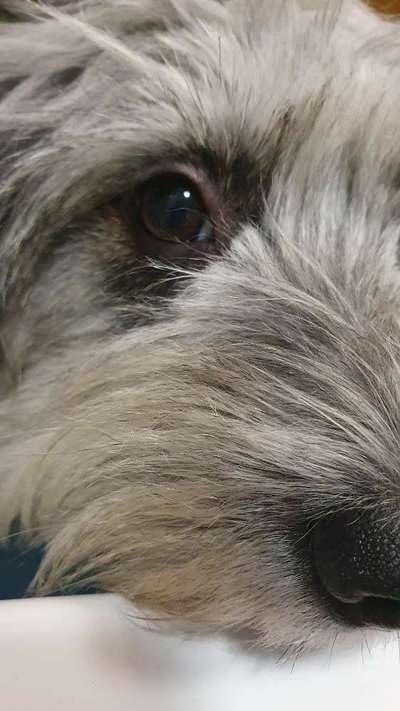 Nahaufnahme-Beitrag-Bild