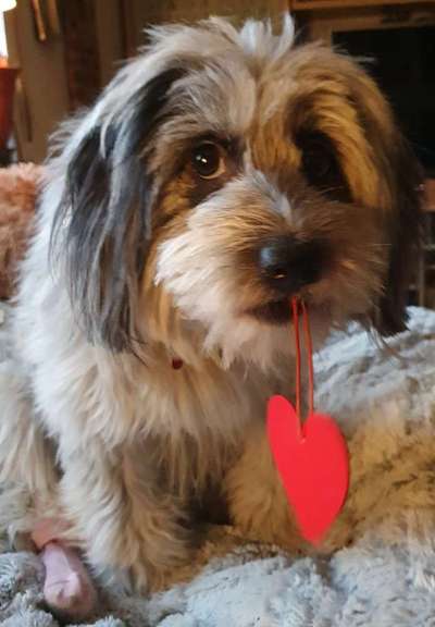 32. Collagen Challenge - eure liebsten gestellten Fotos-Beitrag-Bild