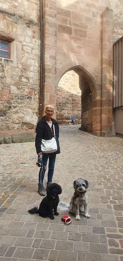 30. Collagen Challenge - Wege/Straßen-Beitrag-Bild