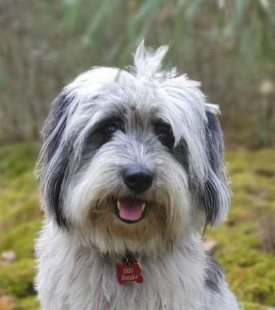 32. Collagen Challenge - eure liebsten gestellten Fotos-Beitrag-Bild