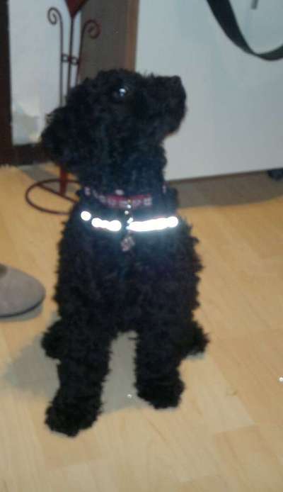 28. Handy-Fotochallenge - Damals und heute-Beitrag-Bild