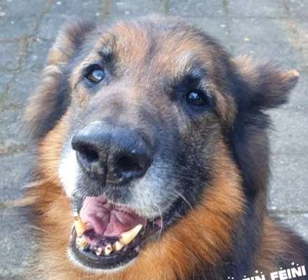 Bettel Blicke-Beitrag-Bild