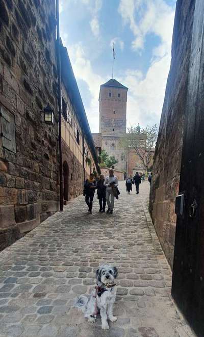 30. Collagen Challenge - Wege/Straßen-Beitrag-Bild