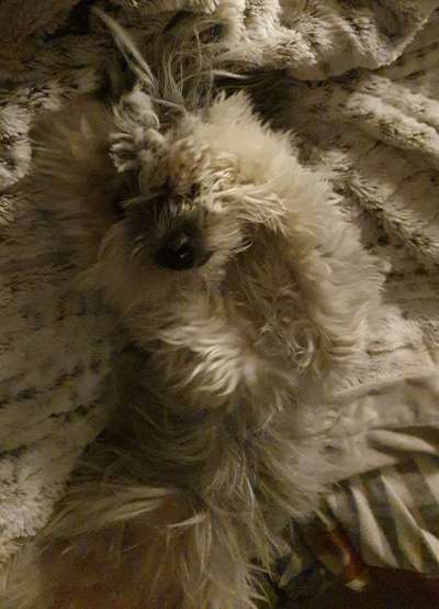 Ton in Ton-Beitrag-Bild