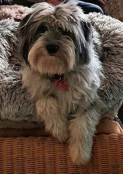 28. Handy-Fotochallenge - Damals und heute-Beitrag-Bild