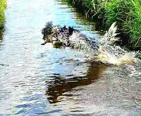 35. Handy Foto Challenge - Das nasse Element-Beitrag-Bild