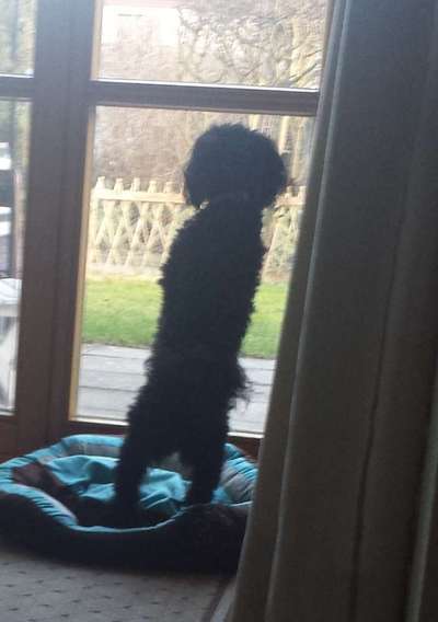 120. Fotochallenge-Beitrag-Bild