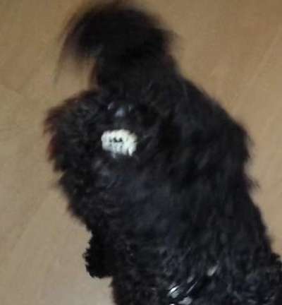 26. Collagen Challenge- Zeigt her eure Zähne-Beitrag-Bild