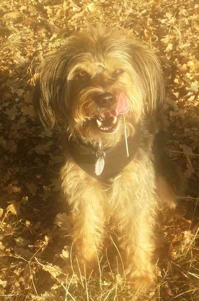 Fotowettbewerb zum Thema "Sonne"-Beitrag-Bild