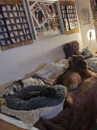 12. Farben Foto Challenge --- Braun-Beitrag-Bild