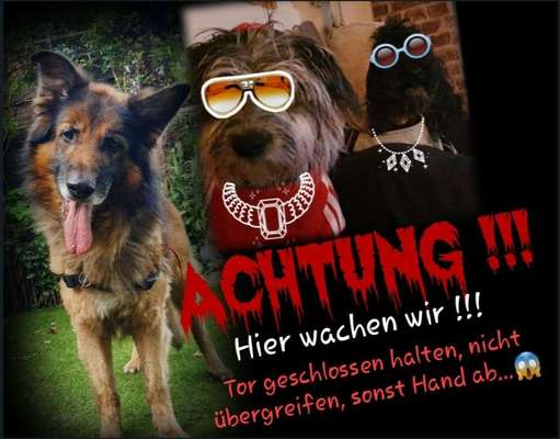 Photoshop und Co.-Beitrag-Bild