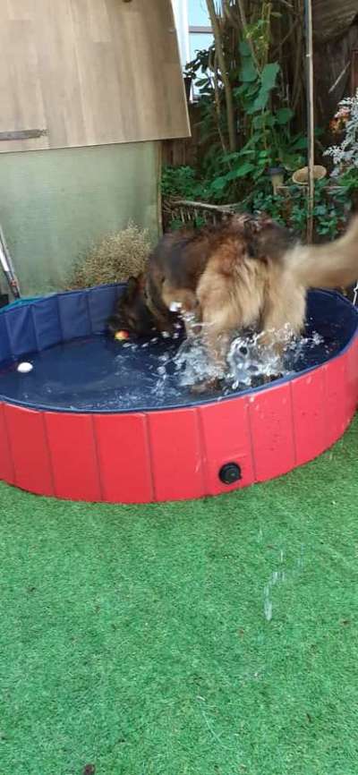 Bright side of life! Schönwetter-Thread-Beitrag-Bild