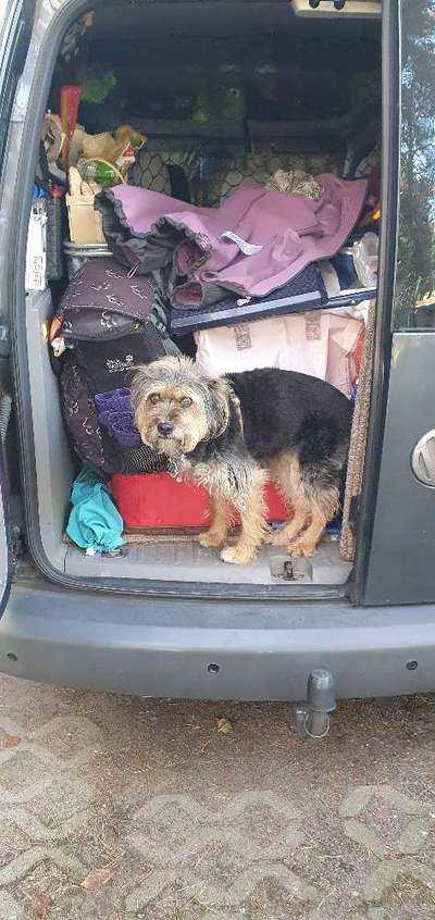 117. Fotochallenge-Beitrag-Bild