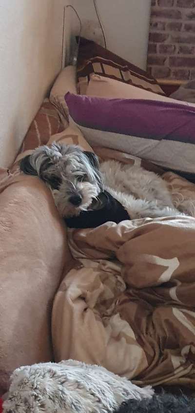 Relaxen im bett-Beitrag-Bild