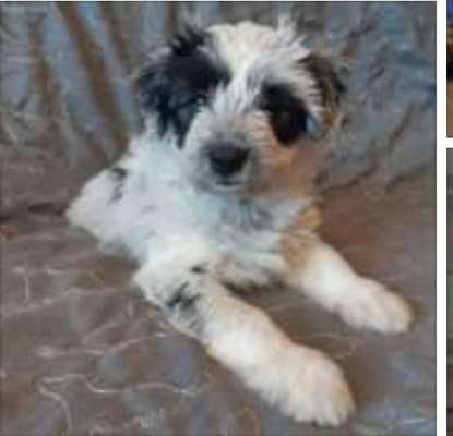 28. Handy-Fotochallenge - Damals und heute-Beitrag-Bild