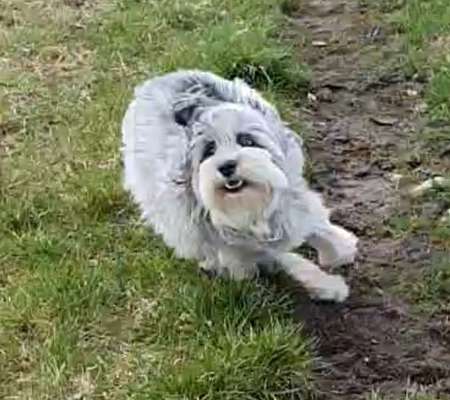 30. Collagen Challenge - Wege/Straßen-Beitrag-Bild