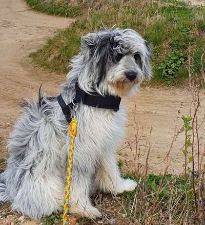 Fotochallenge Nr. 126-Beitrag-Bild