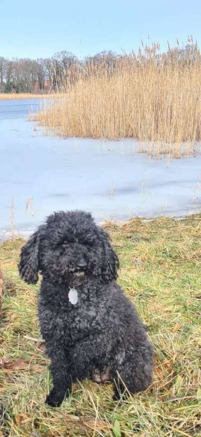 Vor dem Friseur - nach dem Friseur-Beitrag-Bild