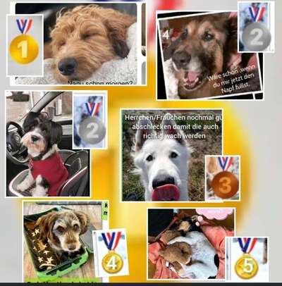 1. Kurzgeschichten Challenge  - Thema:  ...Los, aufstehen-Beitrag-Bild