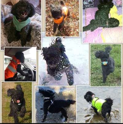 22. Collagen Challenge- Lebensfreude-Beitrag-Bild