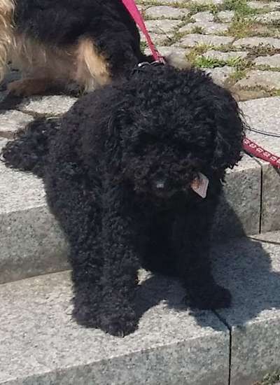 21. Handy-Foto-Challenge-Beitrag-Bild