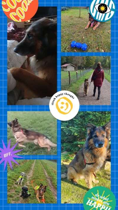 12. Collagen Challenge - Auslastung/Training-Beitrag-Bild