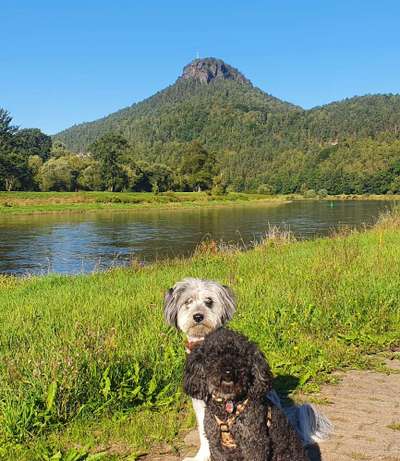 Fotochallenge Nr 107-Beitrag-Bild