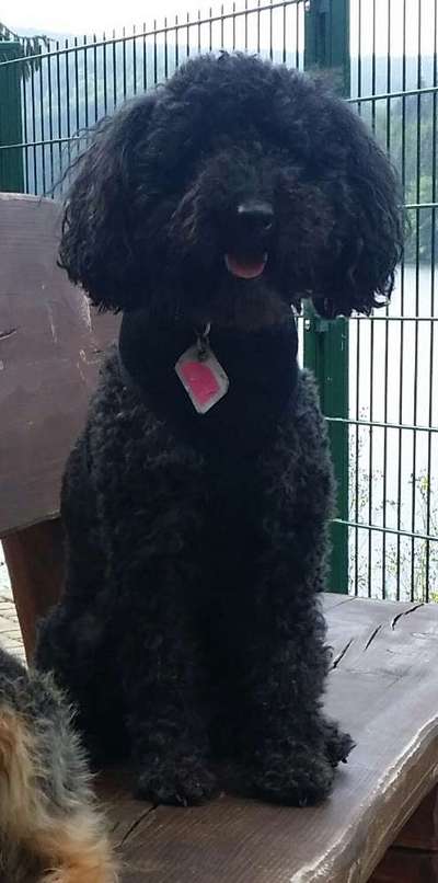 32. Collagen Challenge - eure liebsten gestellten Fotos-Beitrag-Bild