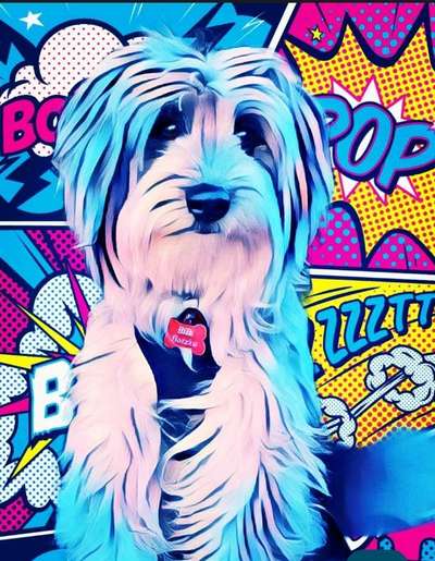 Fotochallenge 124 - Dein Comic-Hund-Beitrag-Bild