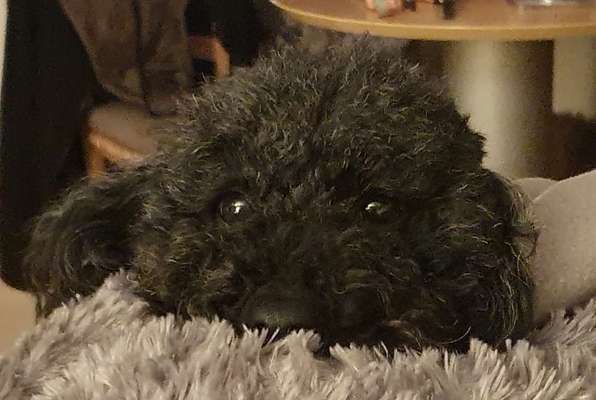 Doppelgänger gesucht !-Beitrag-Bild