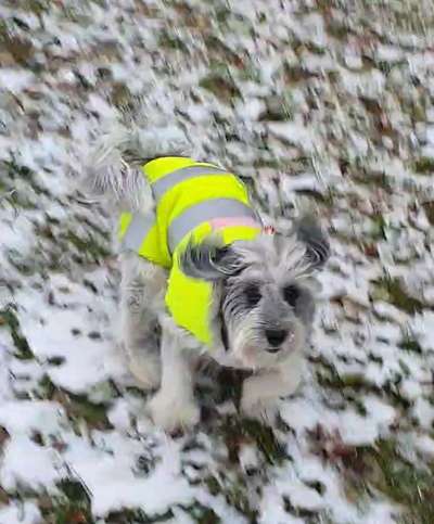 Der erste Schnee, zeigt uns eure tollen Schneemomente-Beitrag-Bild