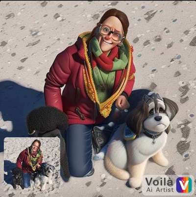 Voila app Bilder-Beitrag-Bild