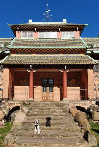 21. Handy-Foto-Challenge-Beitrag-Bild