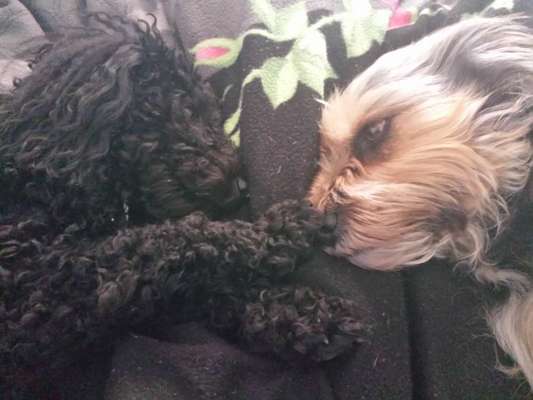 Zeigt eure Portraits-Beitrag-Bild