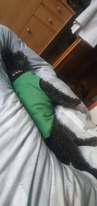 Foto Challenge 112 
ungewöhnliche Schlafplätze-Beitrag-Bild