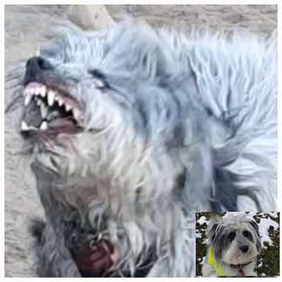 26. Handy Foto Challenge-Beitrag-Bild