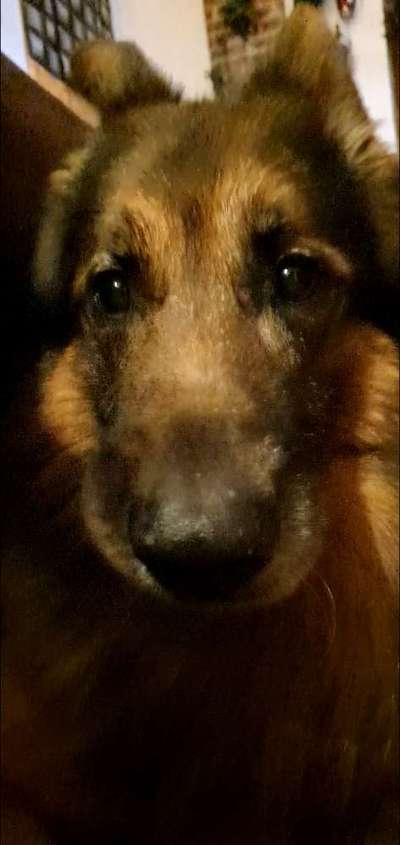 Nahaufnahme-Beitrag-Bild