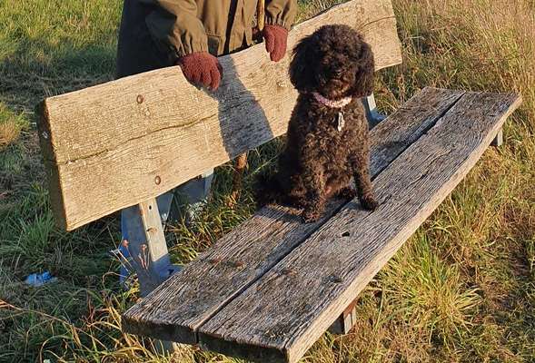 Pause an der Bank-Beitrag-Bild