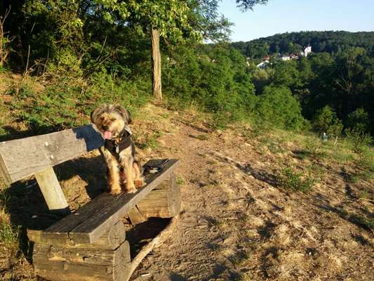 Pause an der Bank-Beitrag-Bild