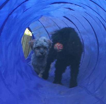 Dogorama Photo Challenge- Höhlen/Tunnel-Beitrag-Bild