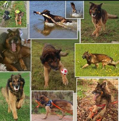 22. Collagen Challenge- Lebensfreude-Beitrag-Bild